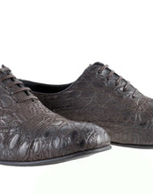 NEW DOLCE & GABBANA BROWN CROCODILE LEATHER SHOES 43 - 10